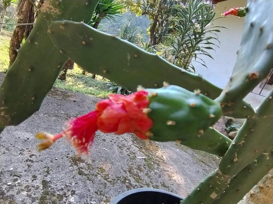 ז'וקיטיבה Sitio Paraiso Verde מראה חיצוני תמונה